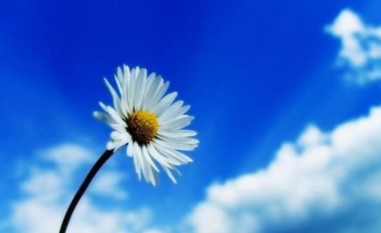 網站建設心態篇，今天我們怎么了？